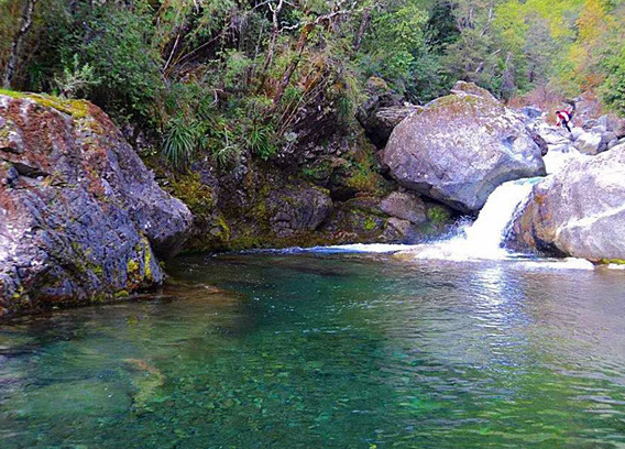 Destinos destacado por buses setter parral